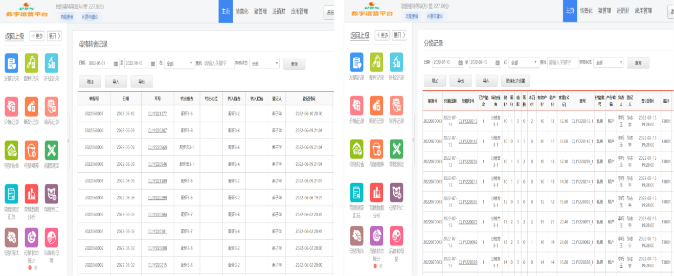 图片12
