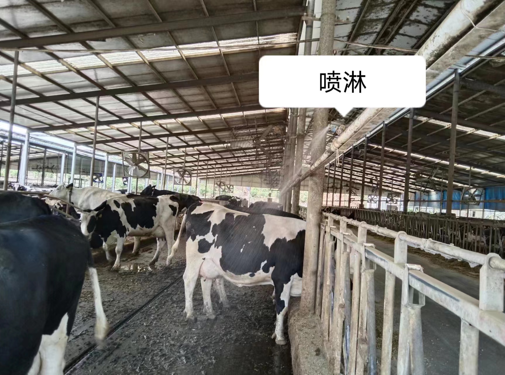 微信图片_2022052516233723