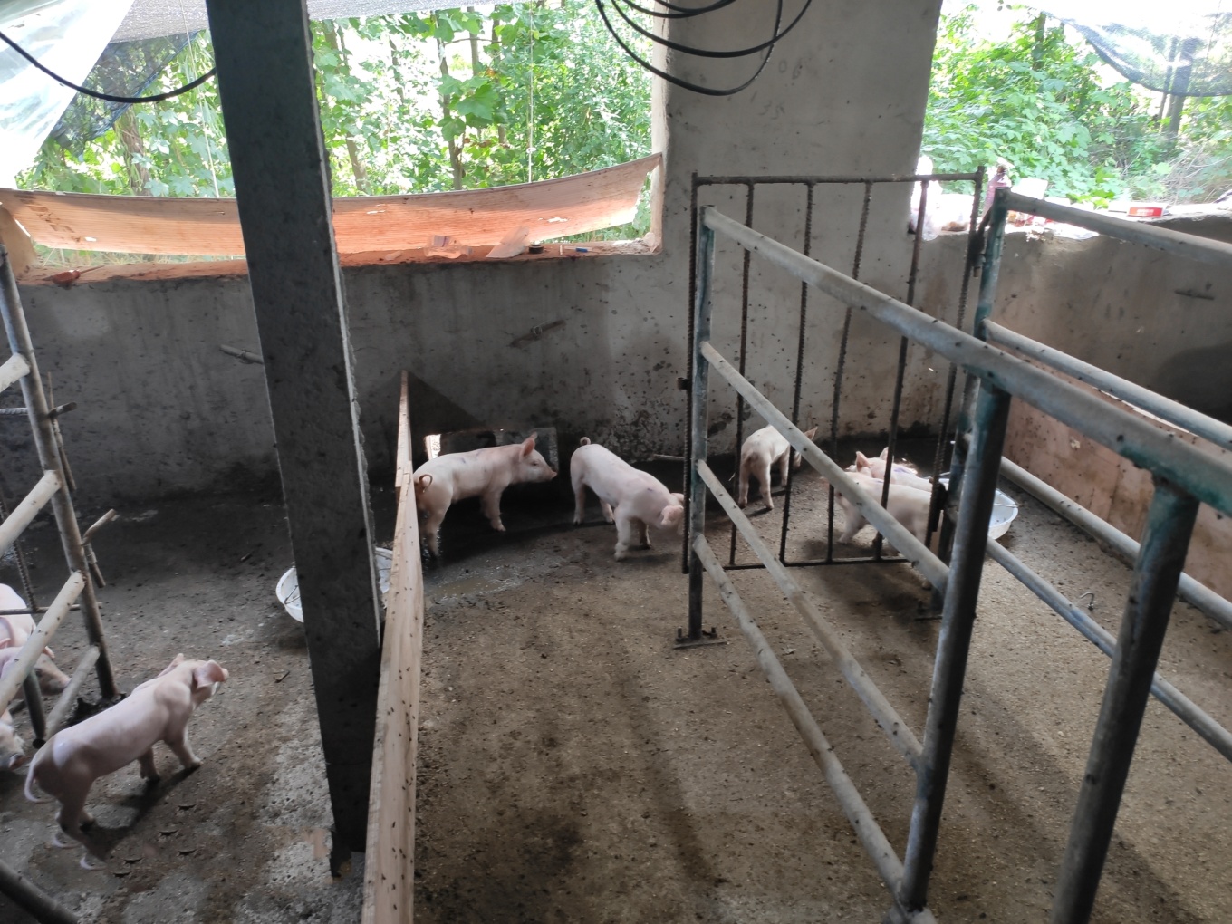 说明: C:UsershpAppDataLocalTempWeChat Filesb2dbc56a6b4fec0f1de3b954b5418f.jpg